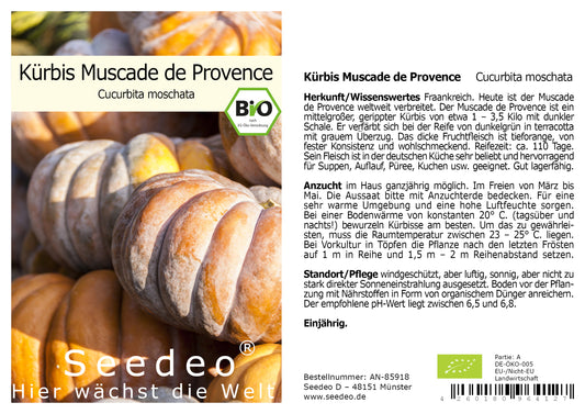 Seedeo® Kürbis Muscade de Provence (Cucurbita moschata) 7 Samen BIO