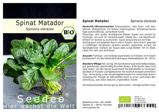 Seedeo® Spinat Matador (Spinacia oleraceaca) 500 Samen BIO