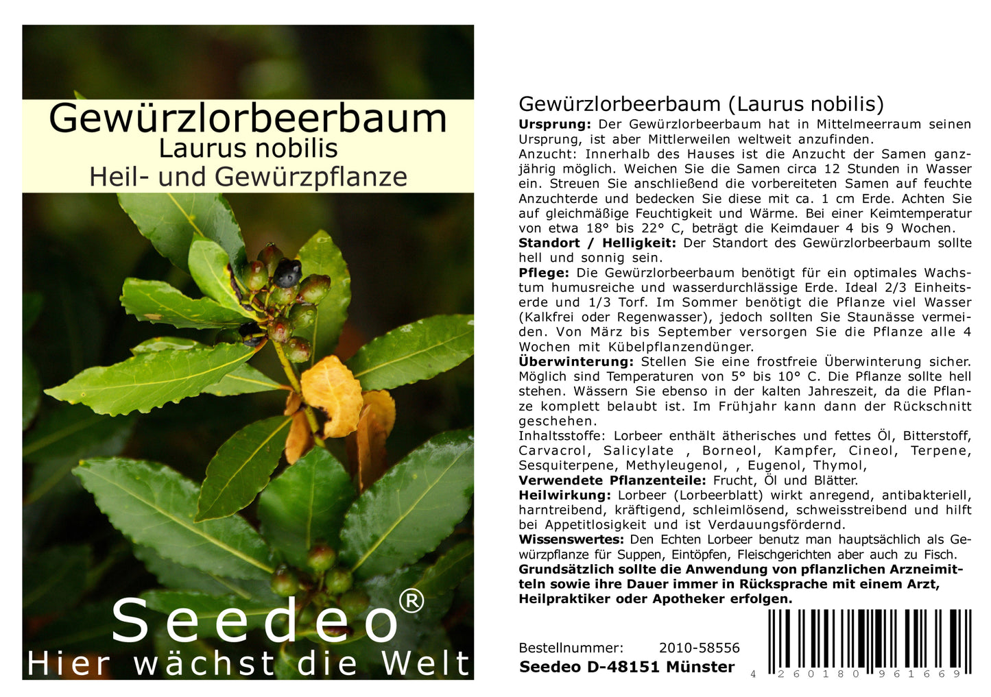 Seedeo® Gewürzlorbeerbaum (Laurus nobilis) 6 Samen