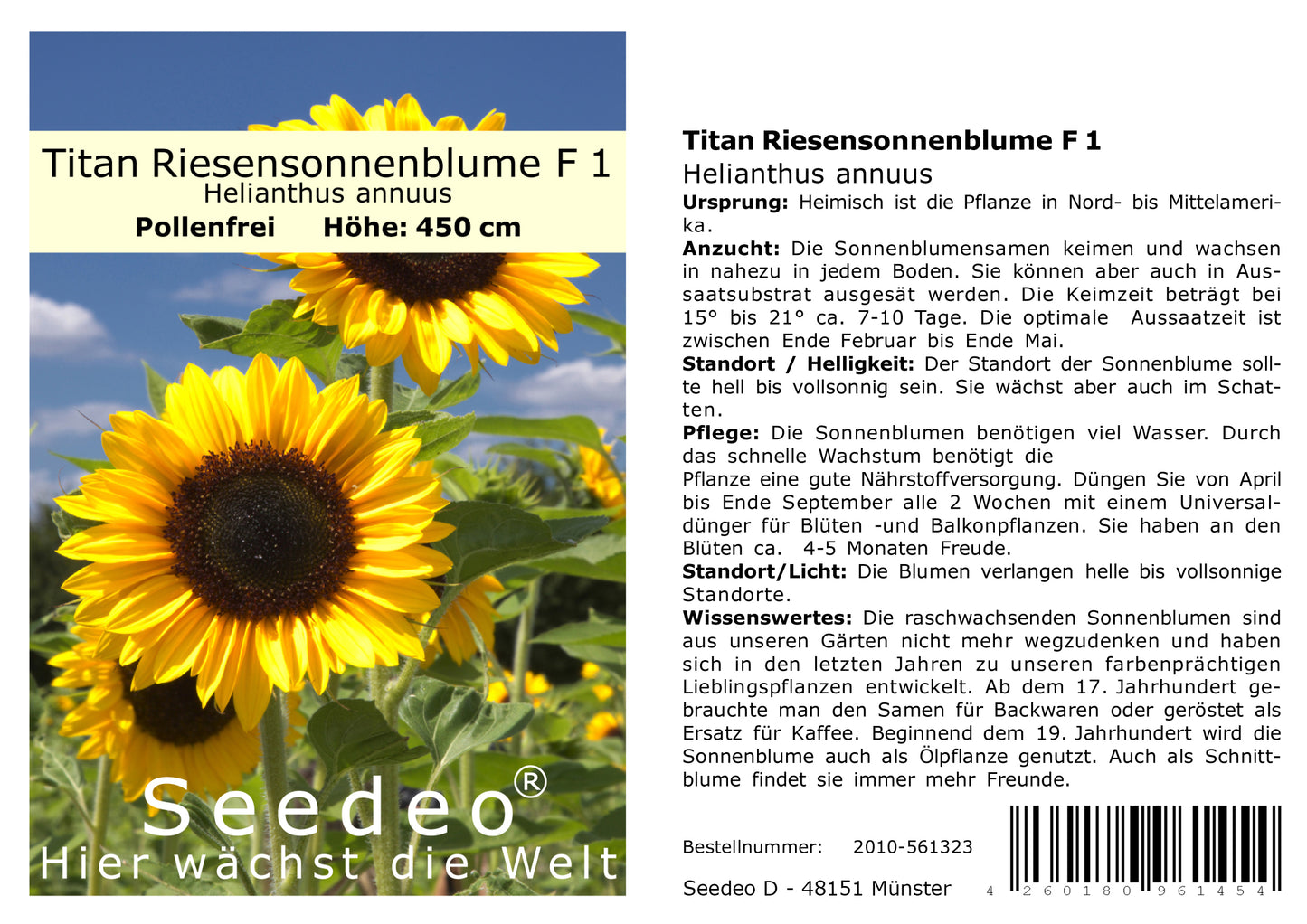 Seedeo® Sonnenblume Titan Riesensonnenblume F 1 (Helianthus annuus) 20 Samen