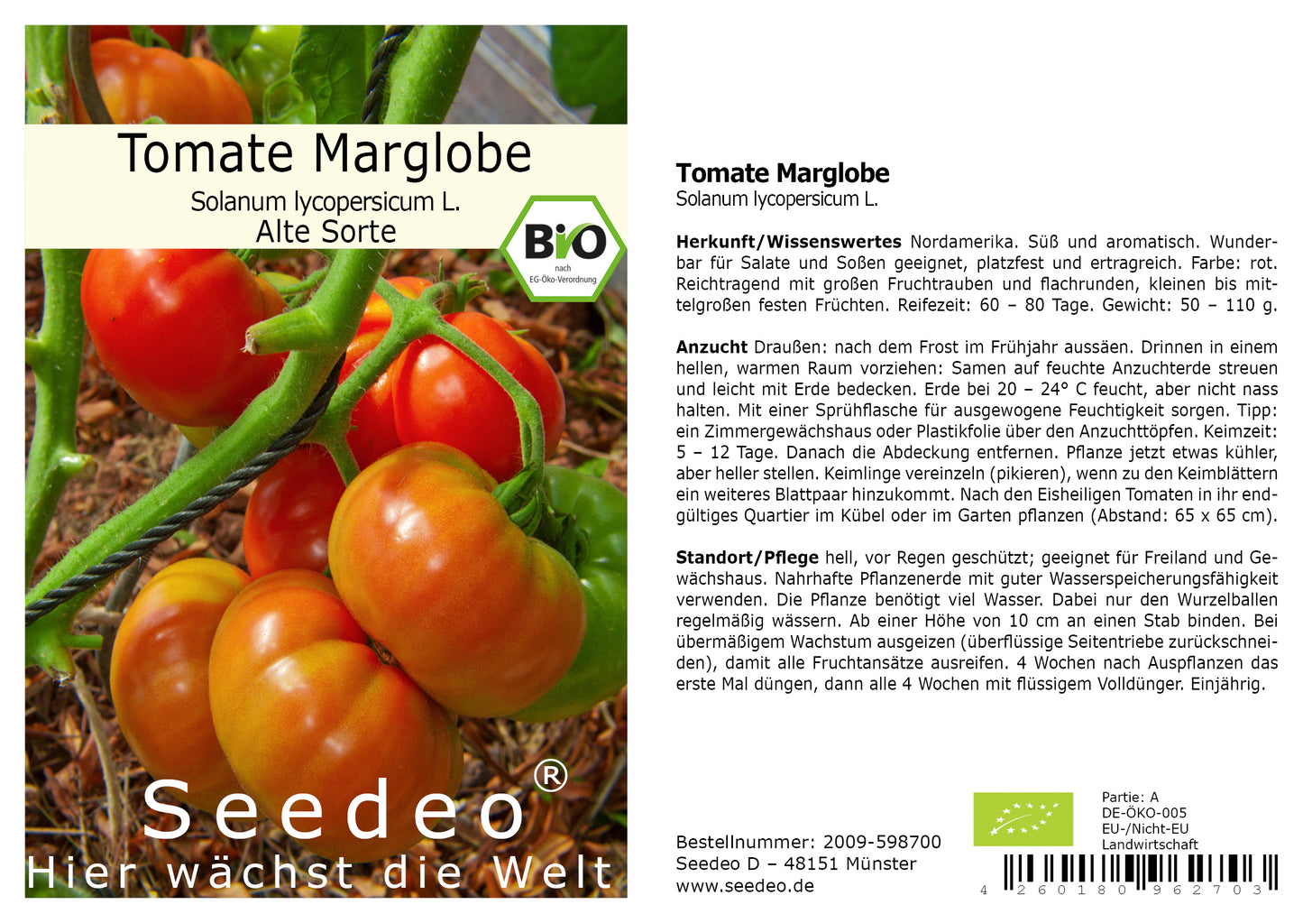 Seedeo® Tomate Marglobe (Lycopersicum L.) 25 Samen BIO