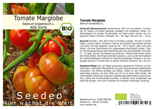 Seedeo® Tomate Marglobe (Lycopersicum L.) 25 Samen BIO