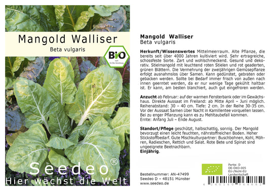 Seedeo® Mangold Walliser (Beta vulgaris)  50 Samen BIO