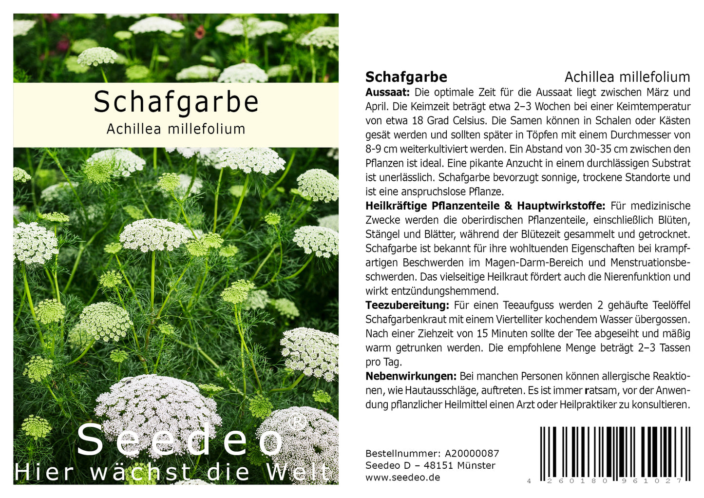 Seedeo® Schafgarbe (Achillea millefolium) 200 Samen