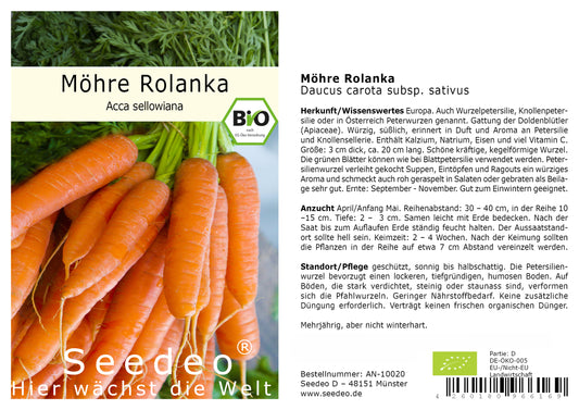 Seedeo® Möhre Rolanka (Daucus carota subsp. sativus) ca. 100 Samen BIO