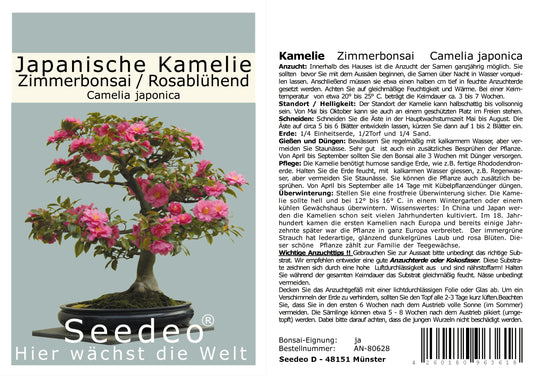 Seedeo® Japanische Kamelie (Camelia Japonica) Zimmer-Bonsai Rosablühend 8 Samen