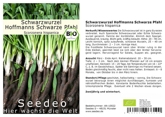 Seedeo® Schwarzwurzel Hoffmanns Schwarze Pfahl (Scorzonera hispanica) ca.100 Samen BIO