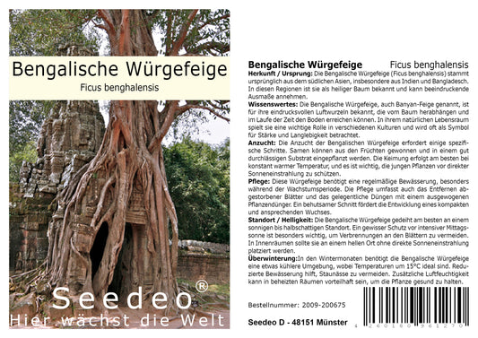 Seedeo® Bengalische Würgefeige (Ficus benghalensis) 100 Samen