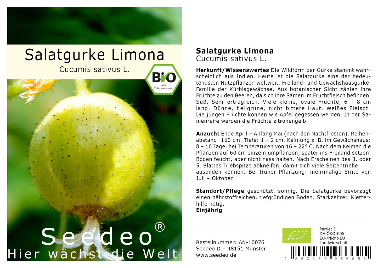 Seedeo® Salatgurke Limona  (Cucumis sativus L) 20 Samen BIO