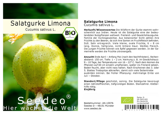 Seedeo® Salatgurke Limona  (Cucumis sativus L) 20 Samen BIO