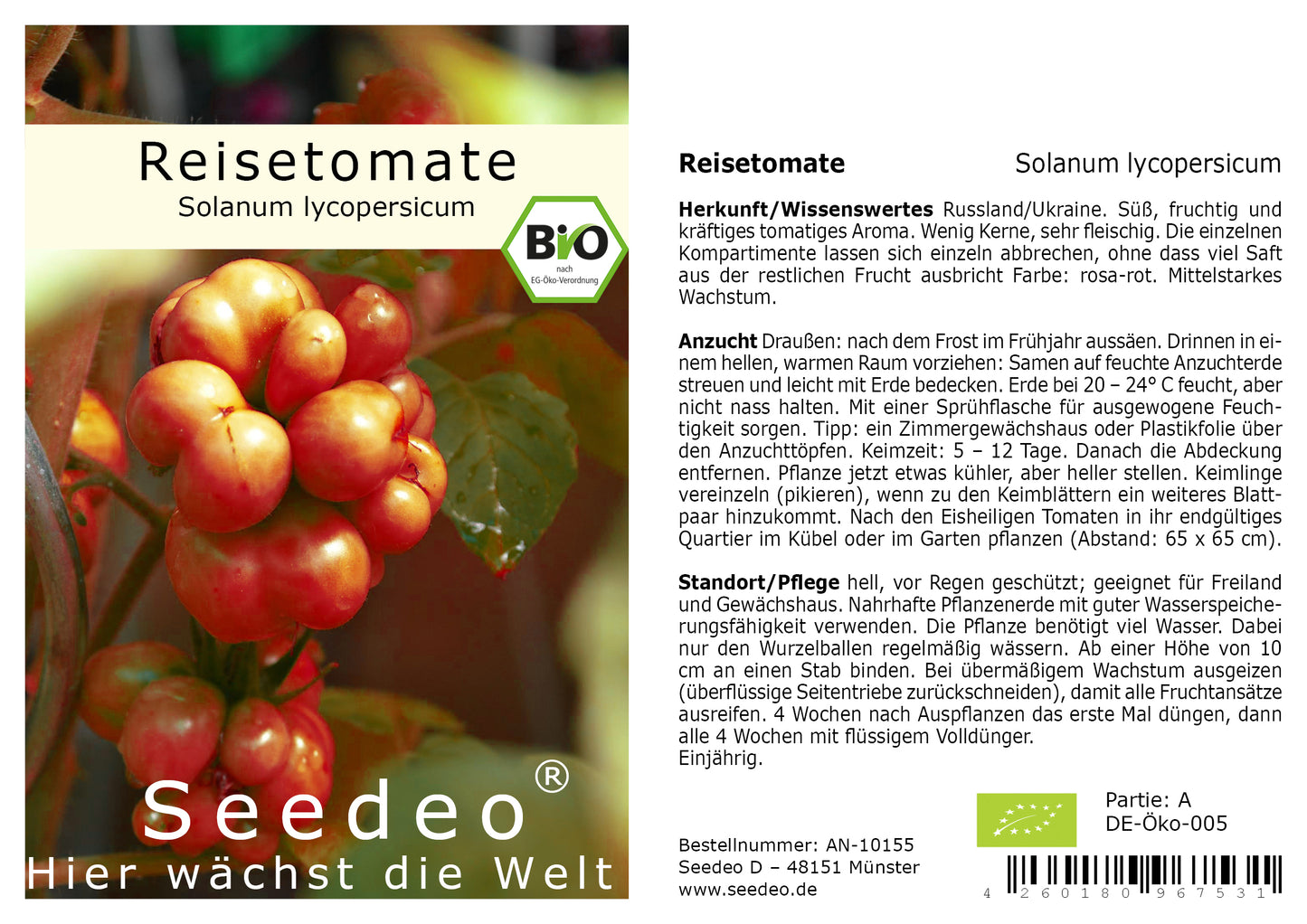 Seedeo® Tomate Reisetomate (Solanum lycopersicum) 15 Samen BIO