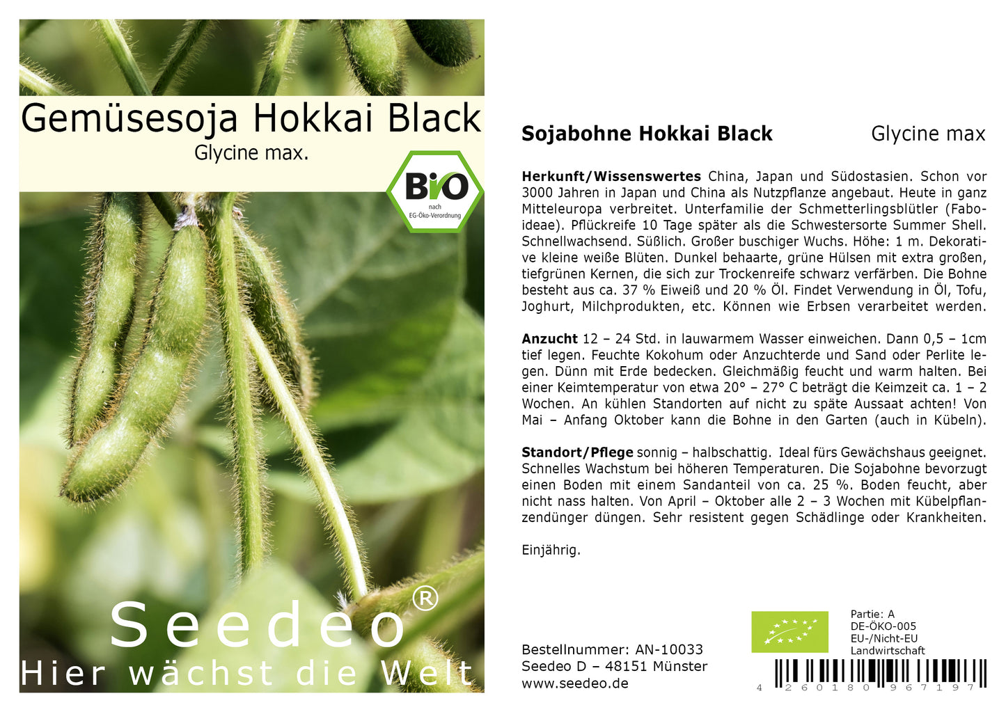 Seedeo® Sojabohne Hokkai Black (Glycine max) ca. 30 Samen BIO