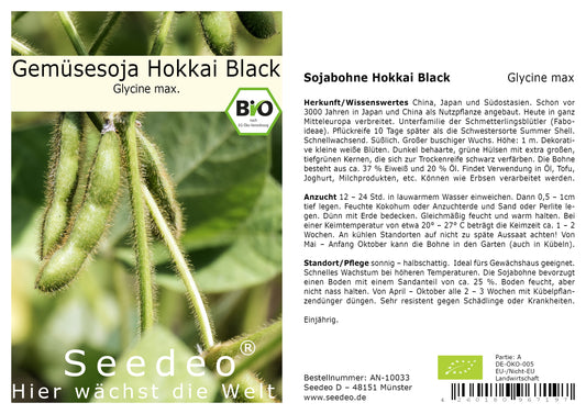 Seedeo® Sojabohne Hokkai Black (Glycine max) ca. 30 Samen BIO