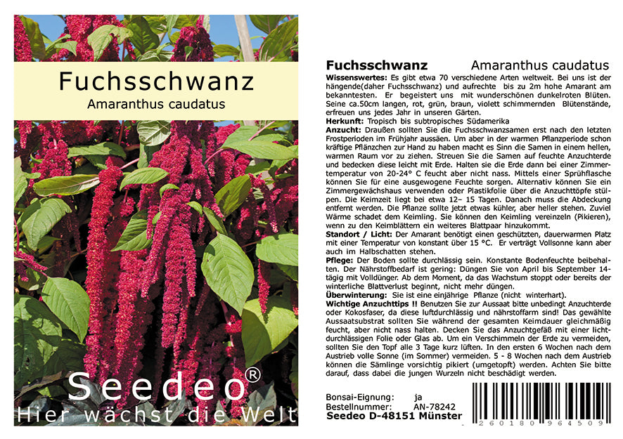 Seedeo® Fuchsschwanz (Amaranthus caudatus) 500 Samen