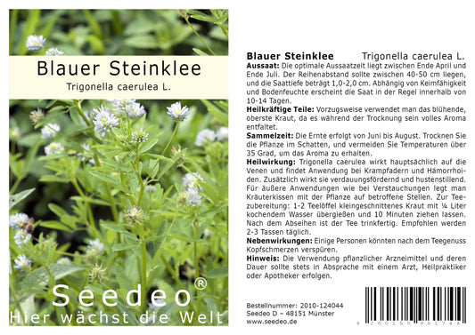 Seedeo® Blauer Steinklee  (Trigonella caerulea L.) 300 Samen