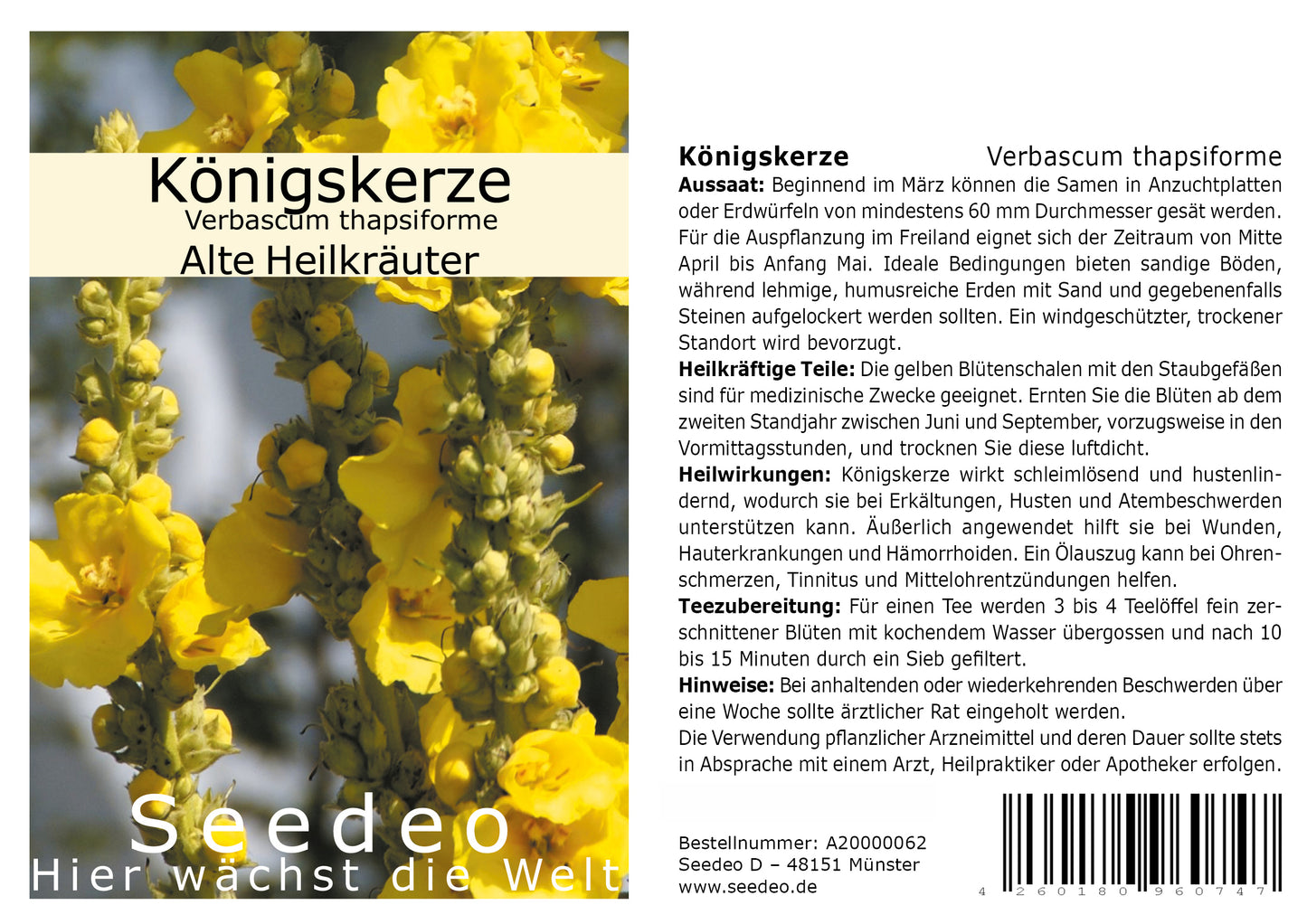 Seedeo® Königskerze (Verbascum thapsiforme) 200 Samen