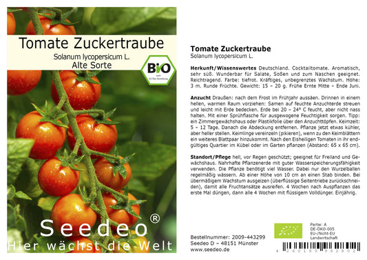 Seedeo® Tomate Zuckertraube (Lycopersicum L.) 30 Samen BIO