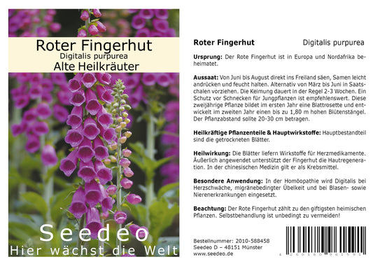 Seedeo® Roter Fingerhut Digitalis purpurea 200 Samen