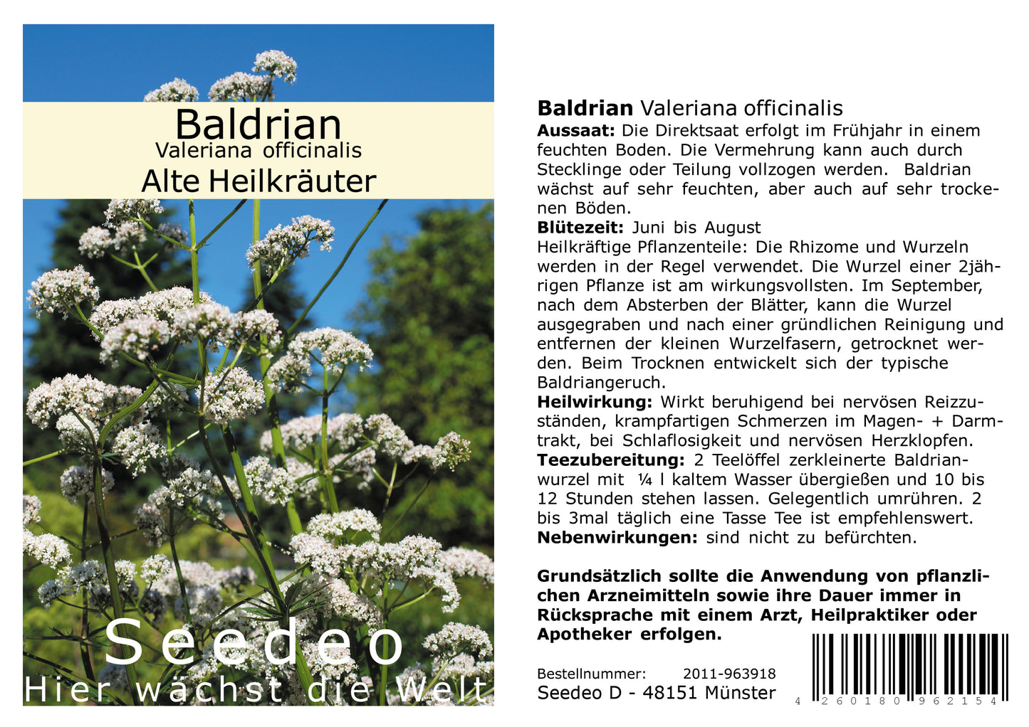 Seedeo® Baldrian (Valeriana officinalis) 200 Samen