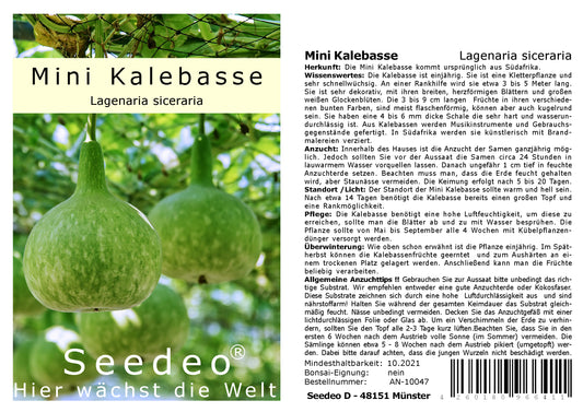 Seedeo® Afrikanische Mini Kalebase (Lagenaria siceraria) 15 Samen