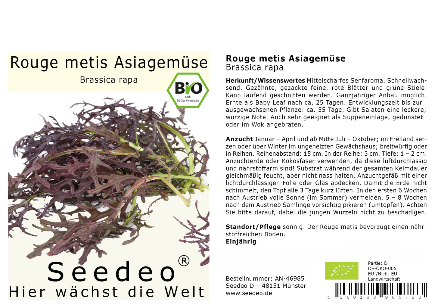 Seedeo® Rouge metis Asiagemüse  (Brassica rapa)   ca. 500 Samen BIO