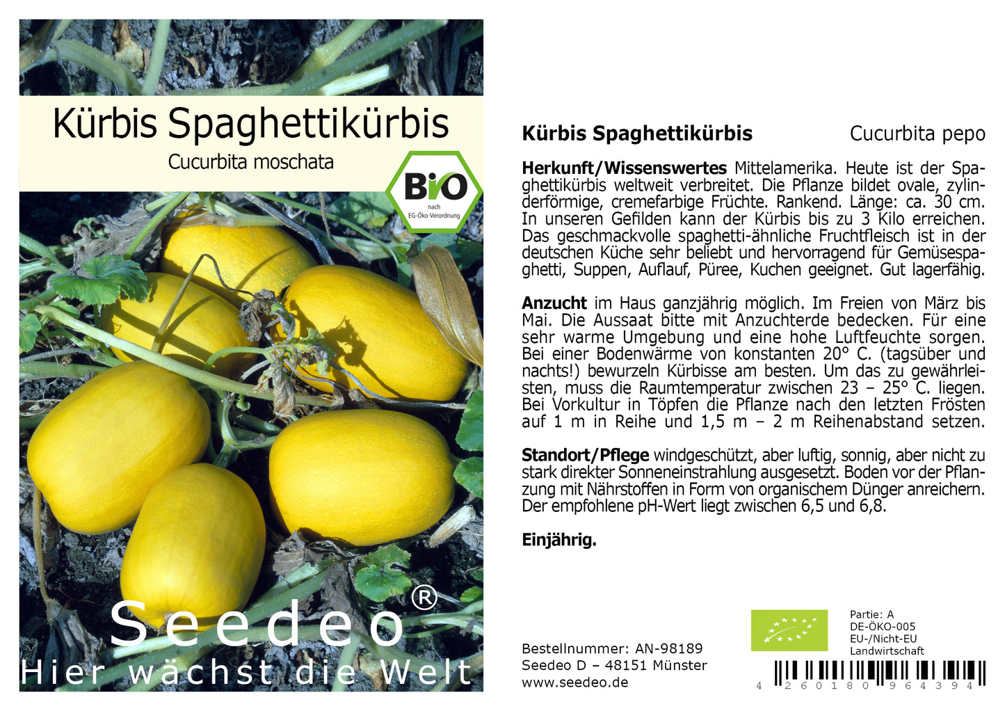 Seedeo® Spaghettikürbis  (Cucurbita pepo) 10 Samen BIO