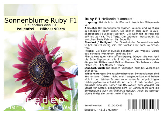 Seedeo® Sonnenblume Ruby- F 1 (Helianthus annuus)  20 Samen