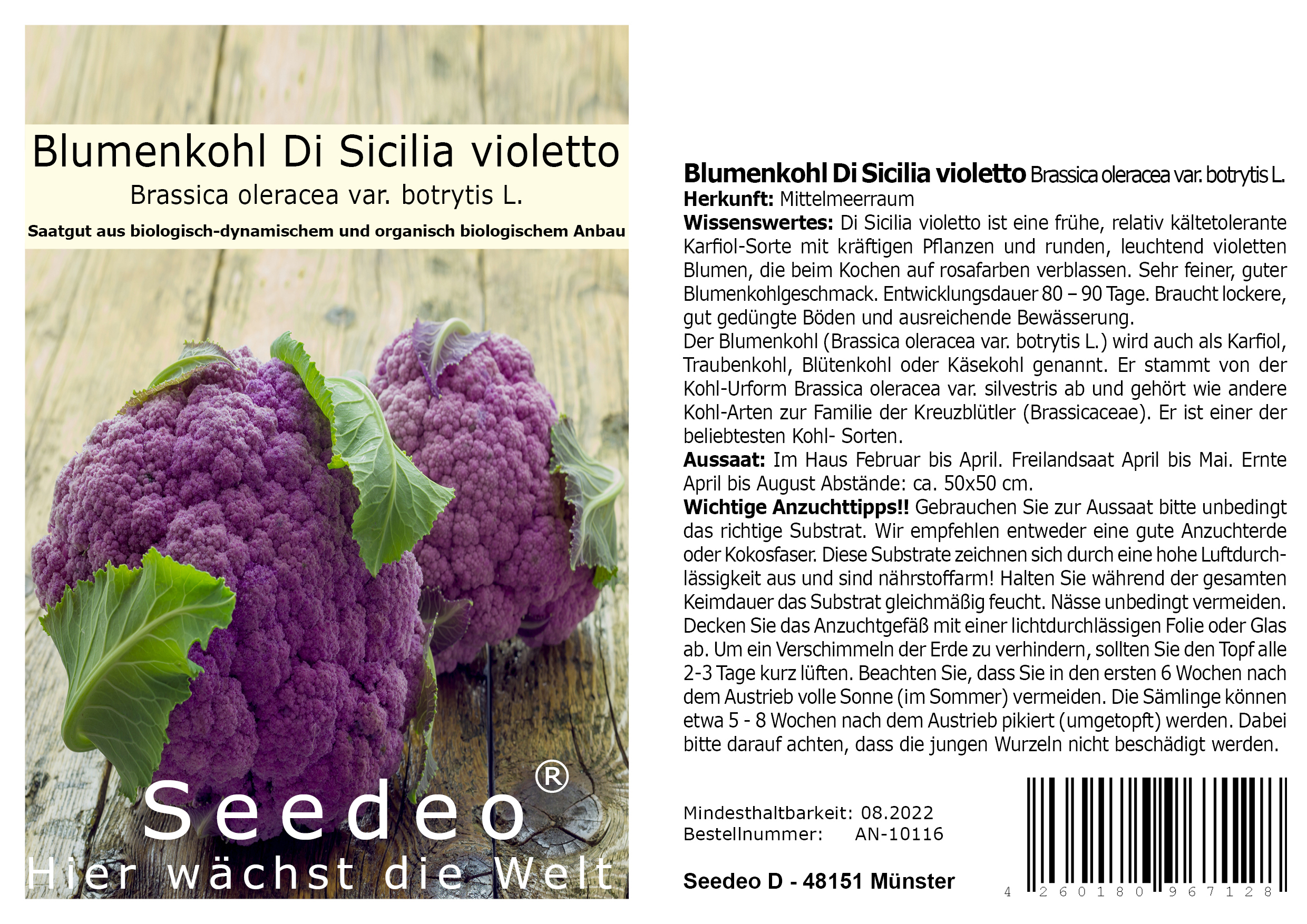 Seedeo® Blumenkohl Di Sicilia violetto (Brassica oleracea var. botrytis L.) 80 Samen BIO