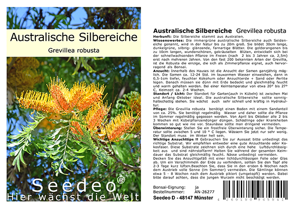 Seedeo® Australische Silbereiche (Grevillea robusta) 50 Samen