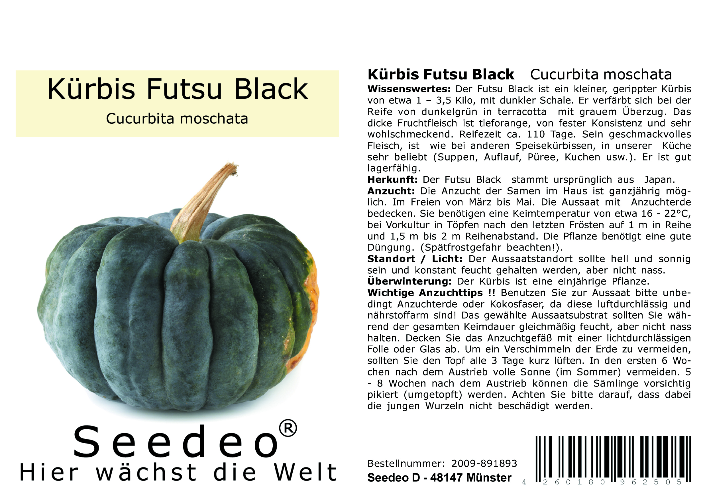 Seedeo® Kürbis Futsu Black (Cucurbita moschata) 10 Samen BIO