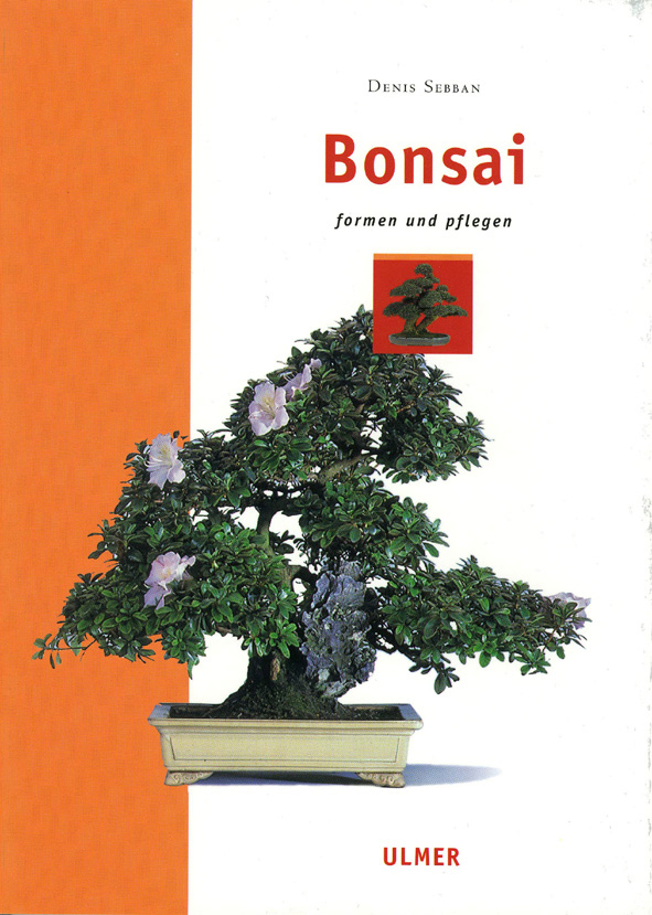 Bonsai Sebban