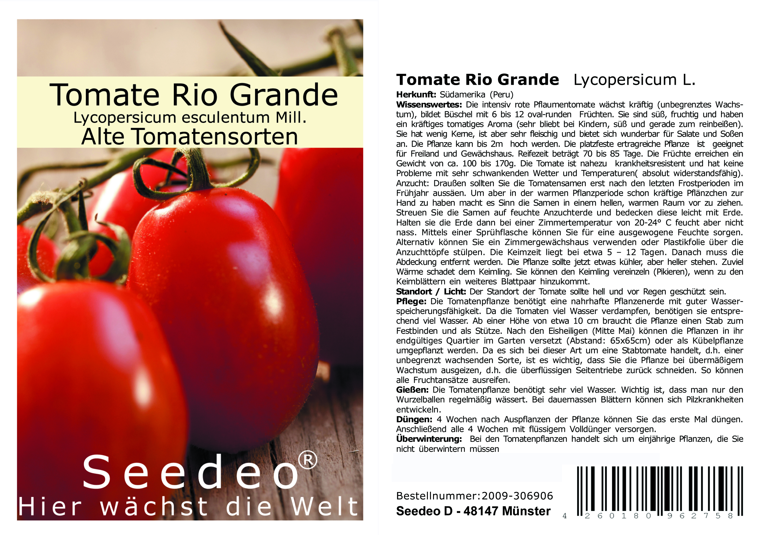 Seedeo® Tomate Rio Grande (Lycopersicum L.) 25 Samen BIO