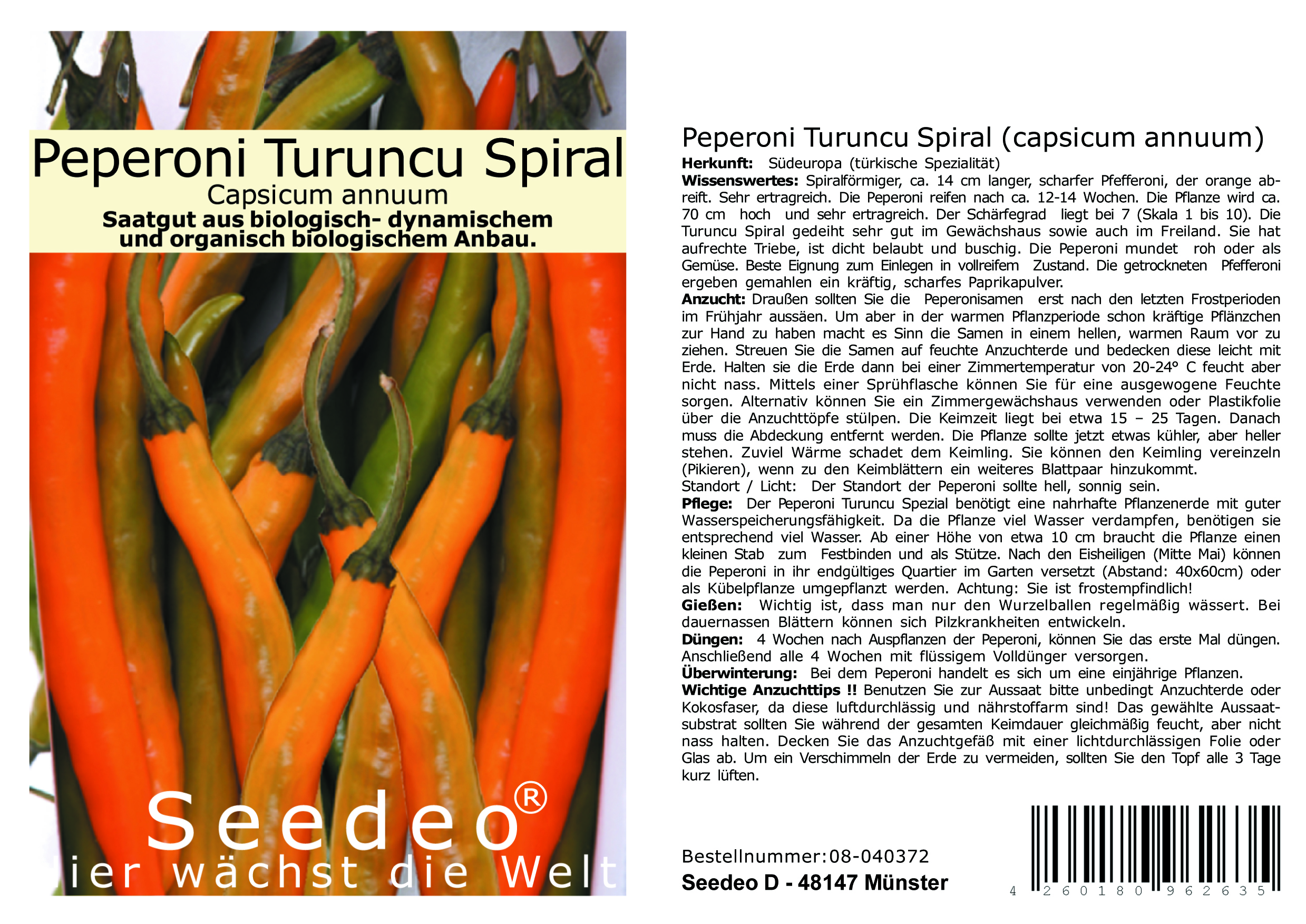 Seedeo® Peperoni Turuncu Spiral (capsicum annuum) 30 Samen BIO