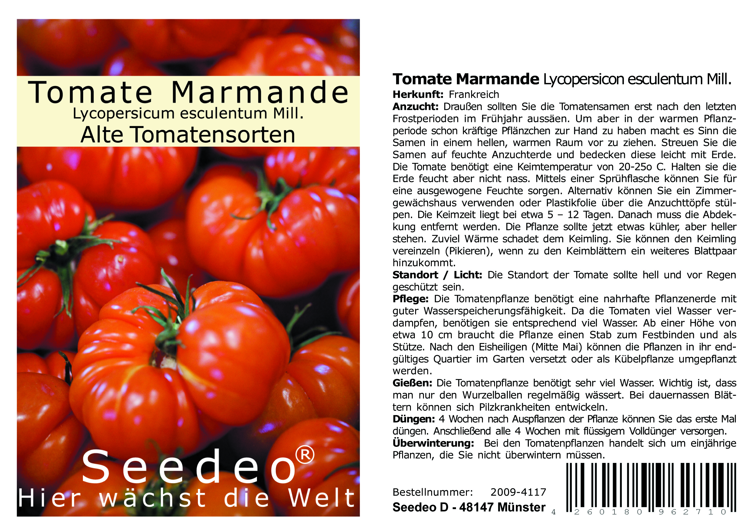 Seedeo® Tomate Marmande (Lycopersicum L.) 25 Samen BIO
