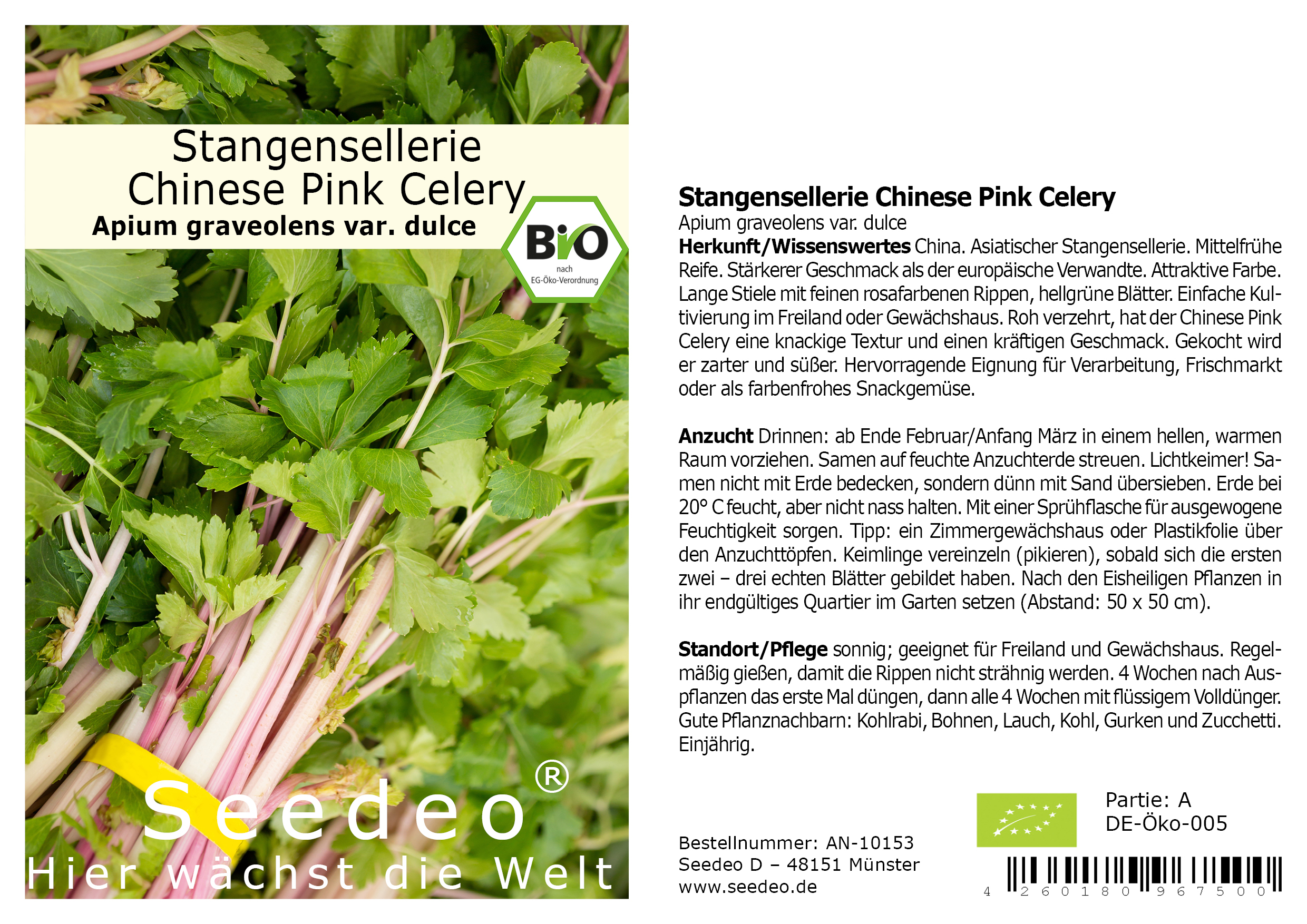 Seedeo® Stangensellerie Chinese Pink Celery (Apium graveolens var. dulce) ca. 100 Samen BIO