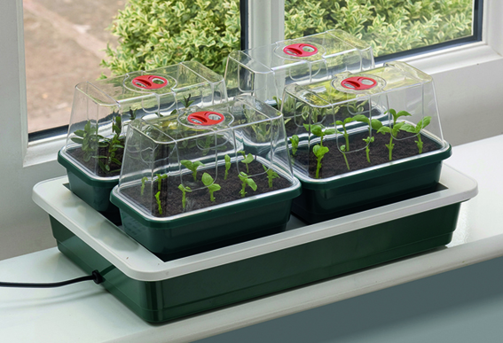 Seedeo® Beheizbare Mini-Gärtnerei mit 4 kleinen Gewächshäusern + 2 Liter Anzuchterde + 2 Samenproben