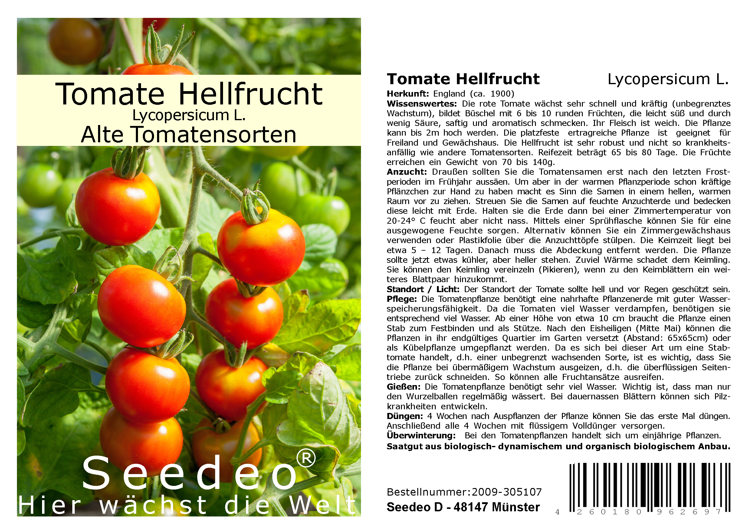 Seedeo® Tomate Hellfrucht (Lycopersicum L.)  25 Samen BIO