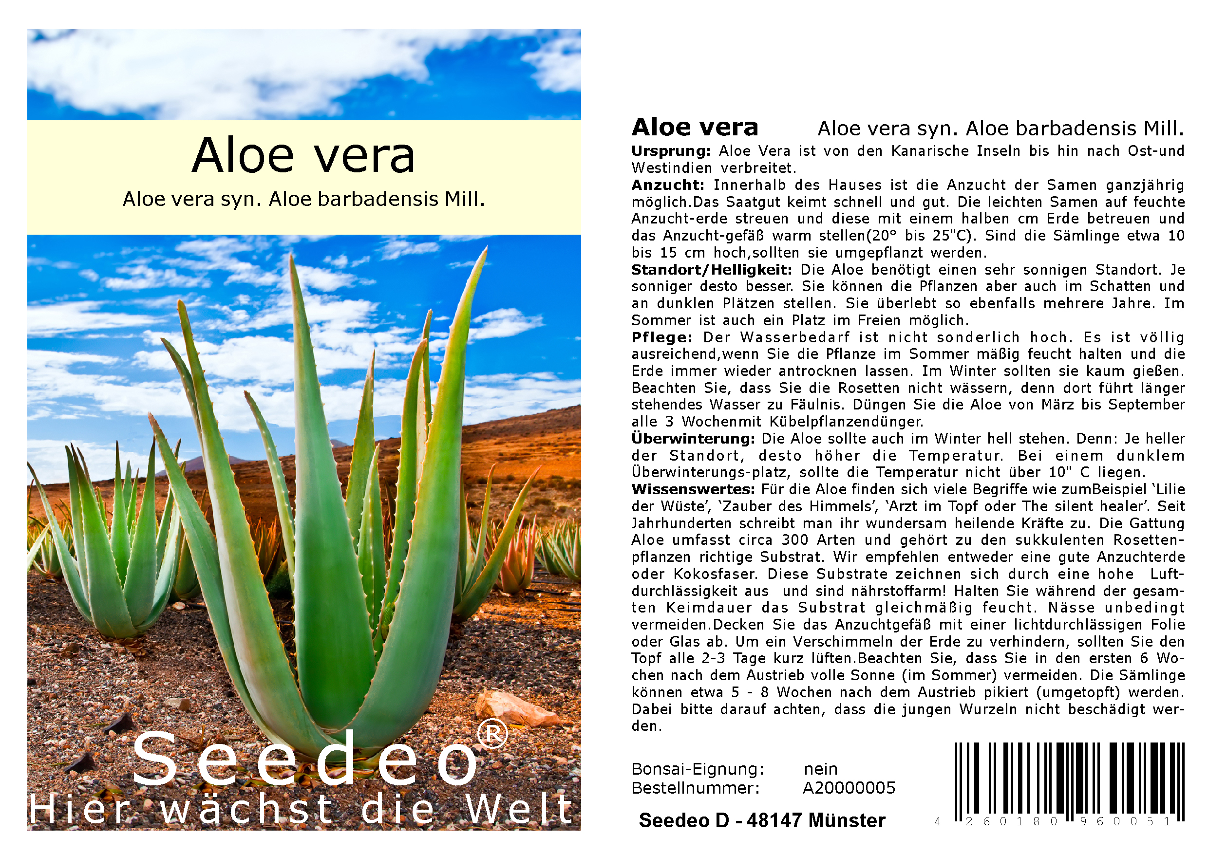 Seedeo® Aloe vera ( Aloe vera syn. Aloe barbadensis) 15 Samen