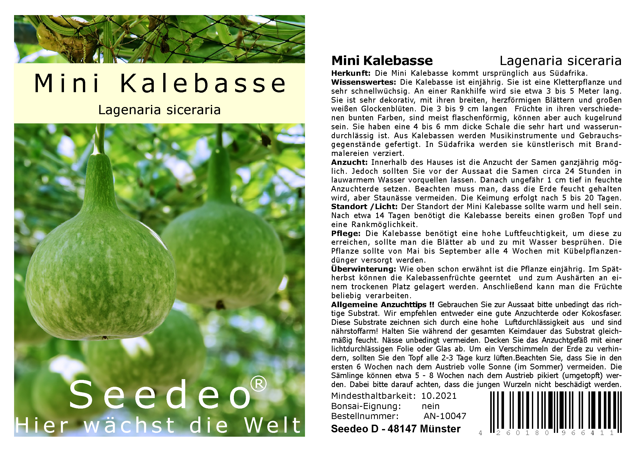 Seedeo® Mini Kalebasse (Lagenaria siceraria) 10 Samen