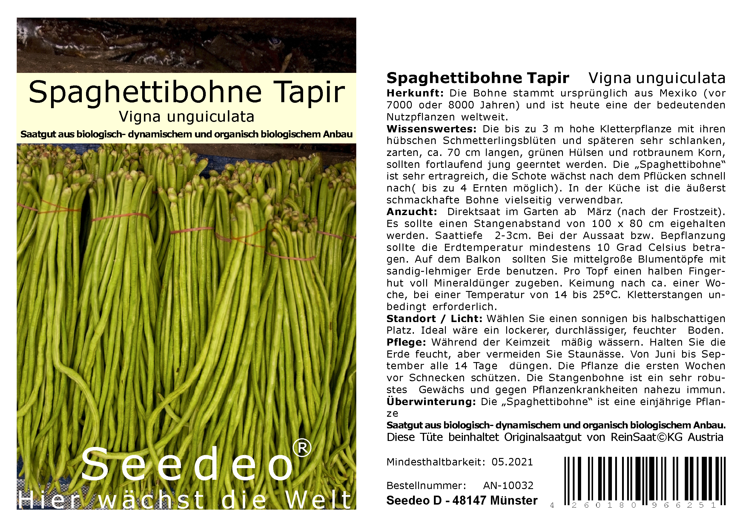Seedeo® Spaghettibohne Tapir  (Vigna unguiculata) ca. 20 Samen BIO