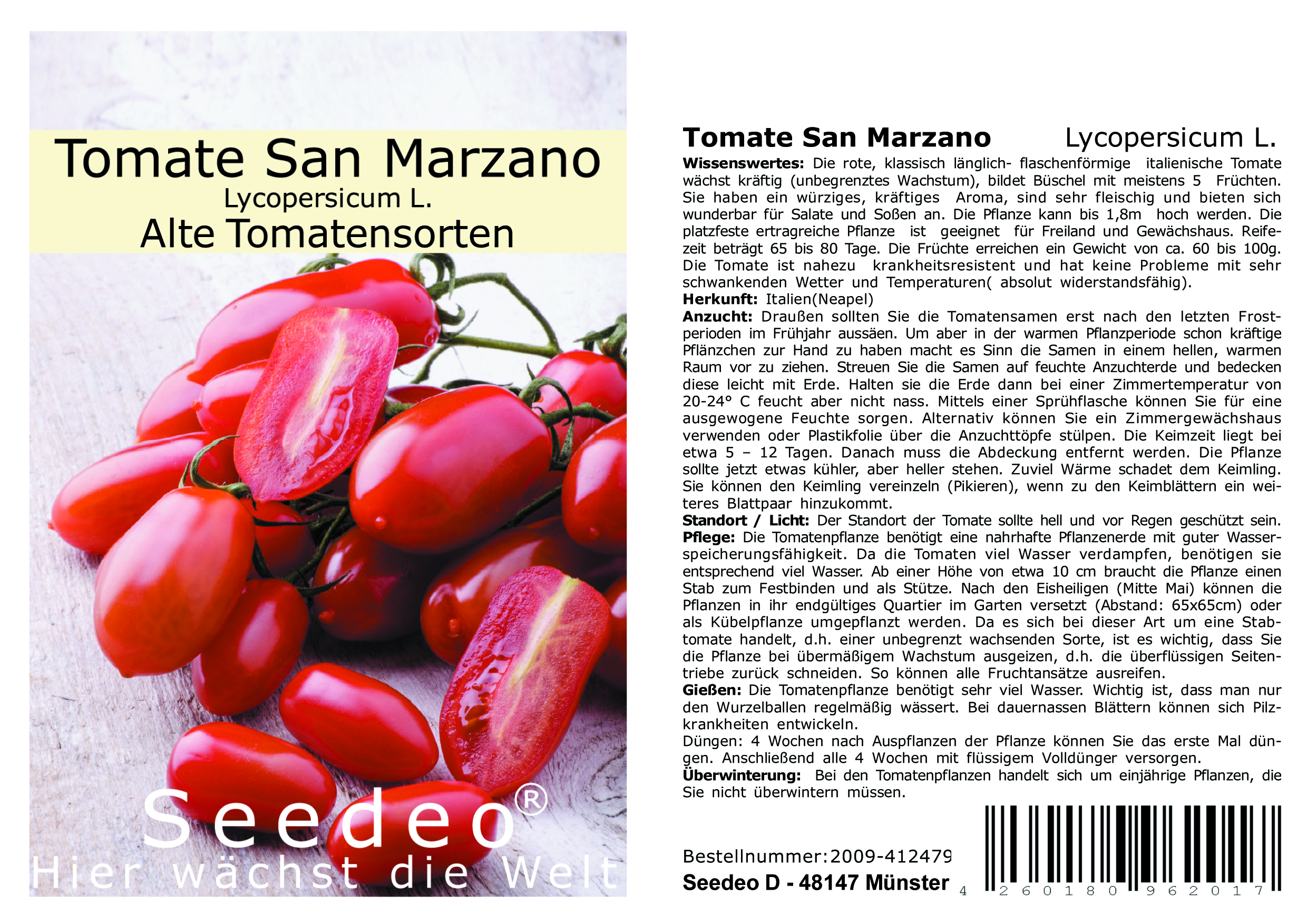 Seedeo® Anzucht-Geschenkset Tomate San Marzano (Lycopersicum L.) BIO