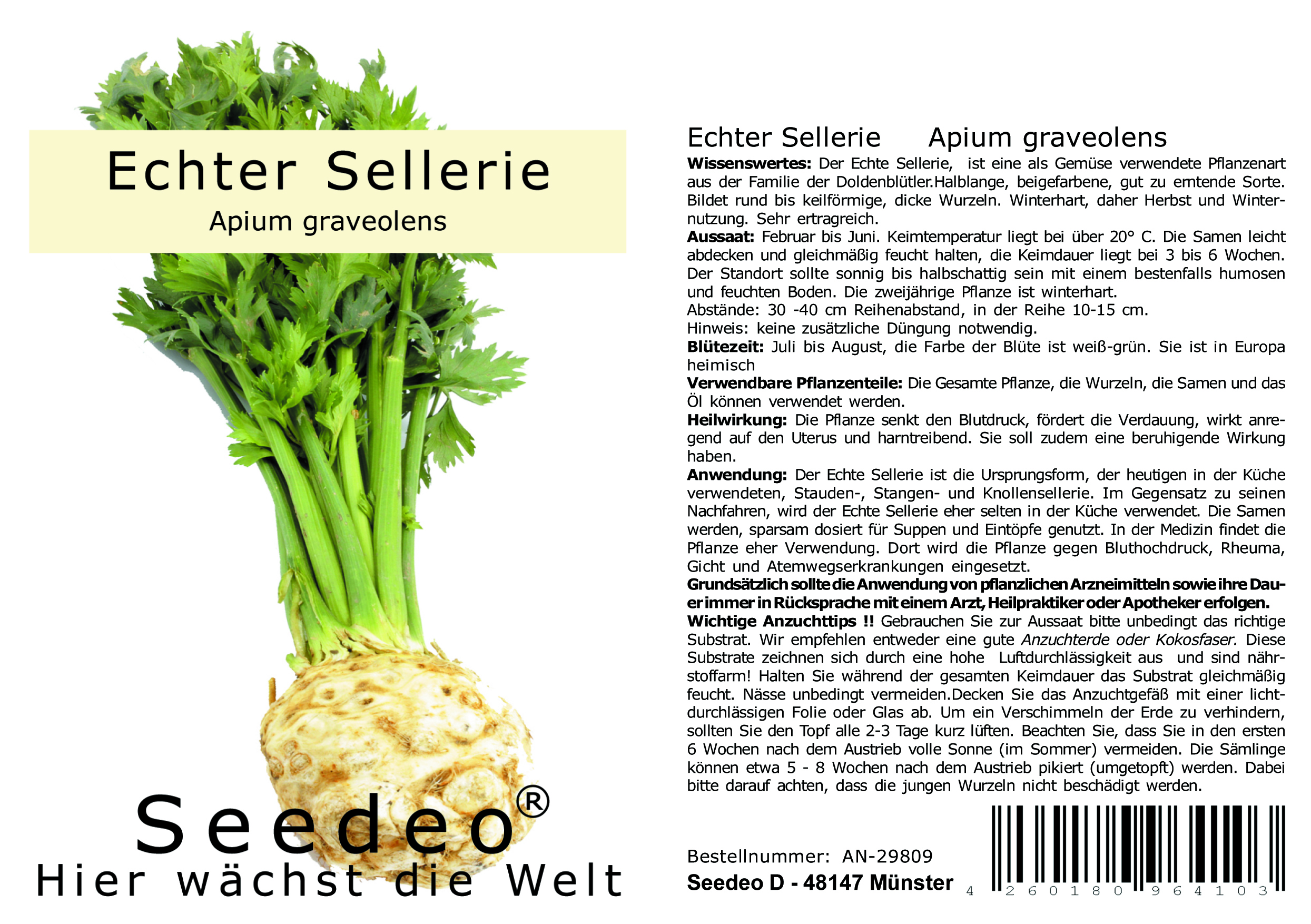 Seedeo® Echter Sellerie     Apium graveolens  100 Samen BIO