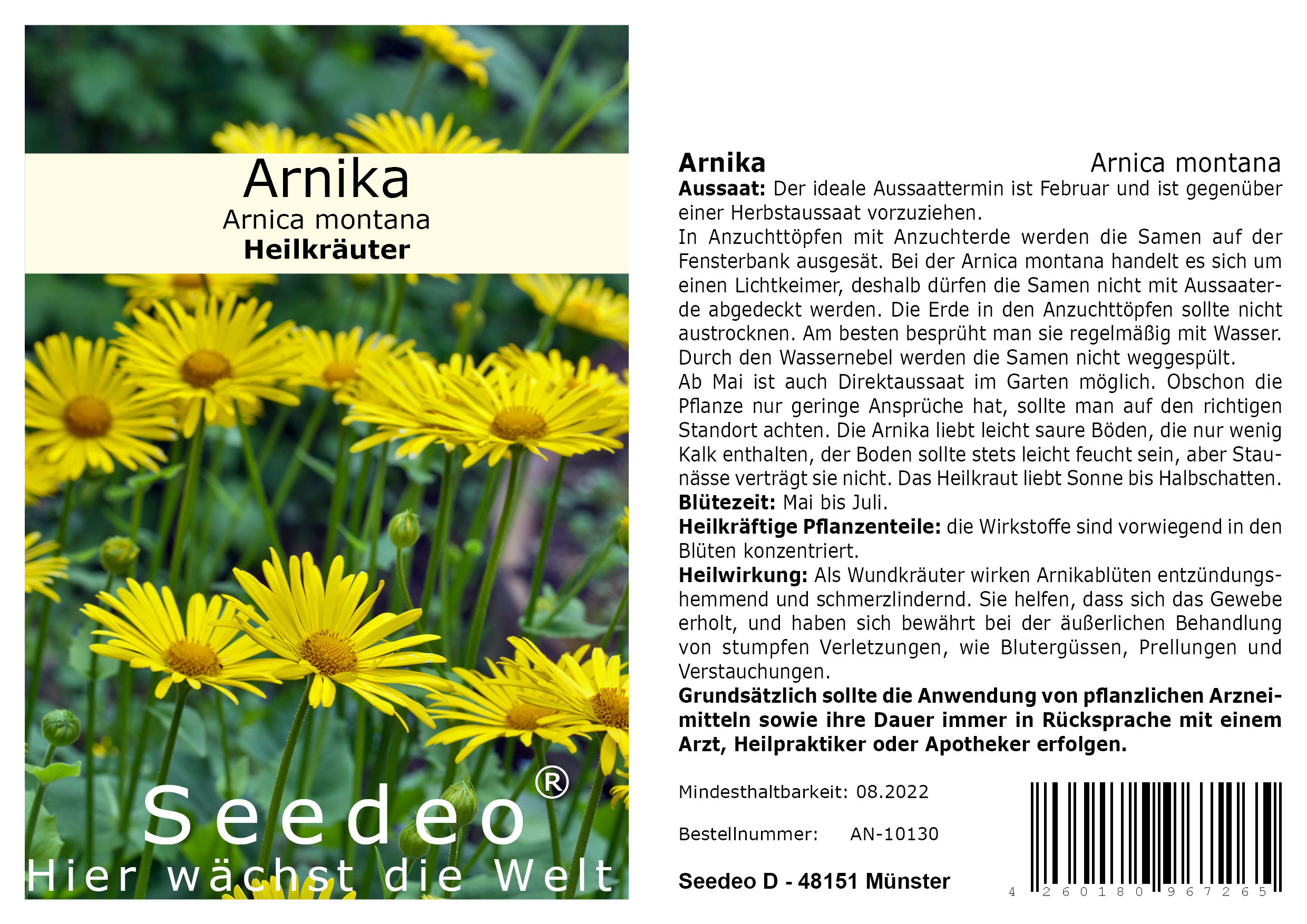 Seedeo® Arnika (Arnica montana) ca. 50 Samen
