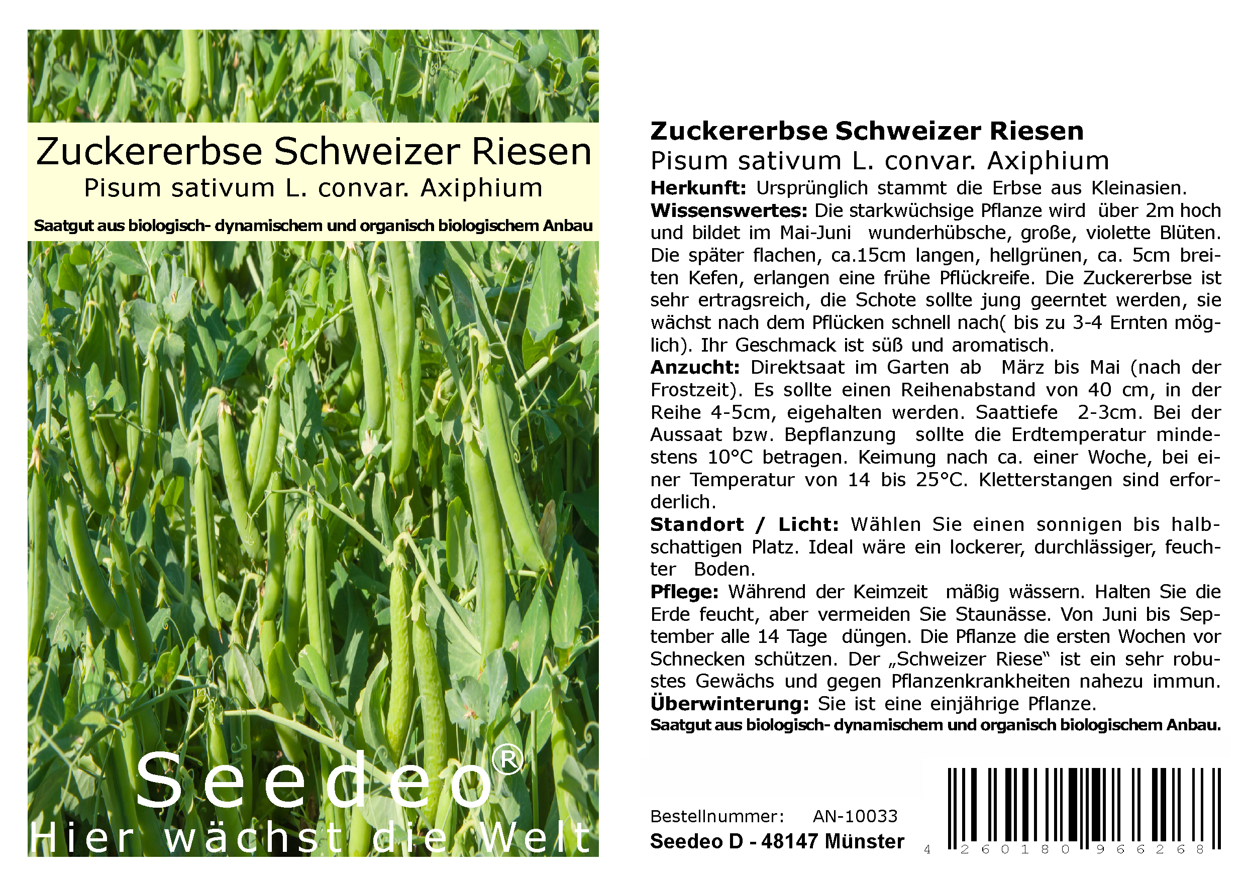 Seedeo® Zuckererbse Schweizer Riesen ( Pisum sativum L. convar. Axiphium) ca. 50 Samen BIO