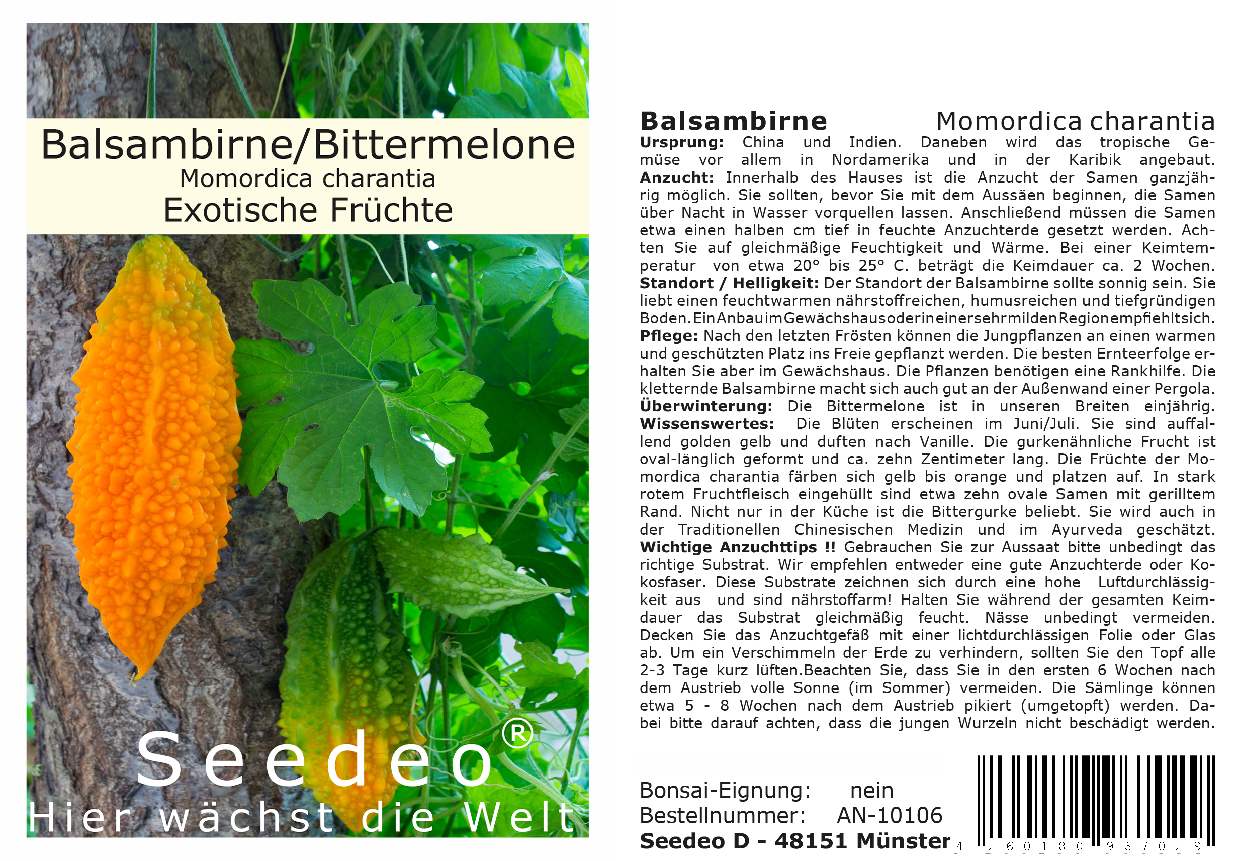 Seedeo® Balsambirne, Bittermelone (Momordica charantia) 10 Samen