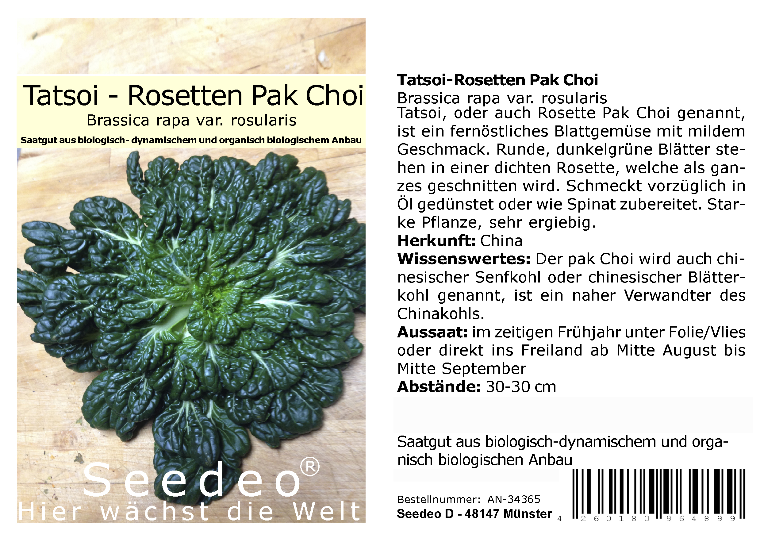 Seedeo® Tatsoi-Rosetten Pak Choi  (Brassica rapa var. rosularis) 500 Samen