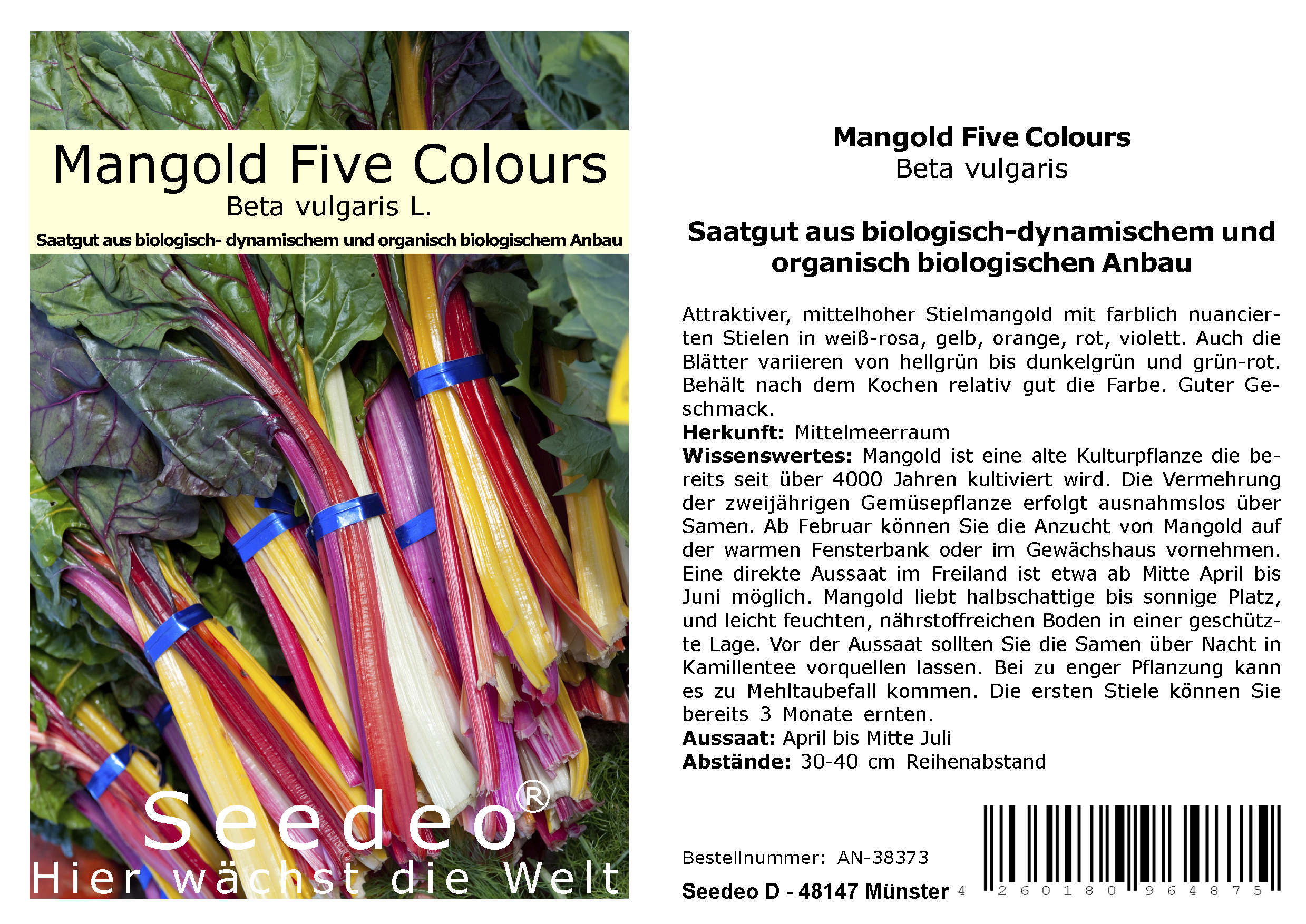 Seedeo® Mangold Tre Colori (Beta vulgaris L. var. vulgaris)  50 Samen BIO