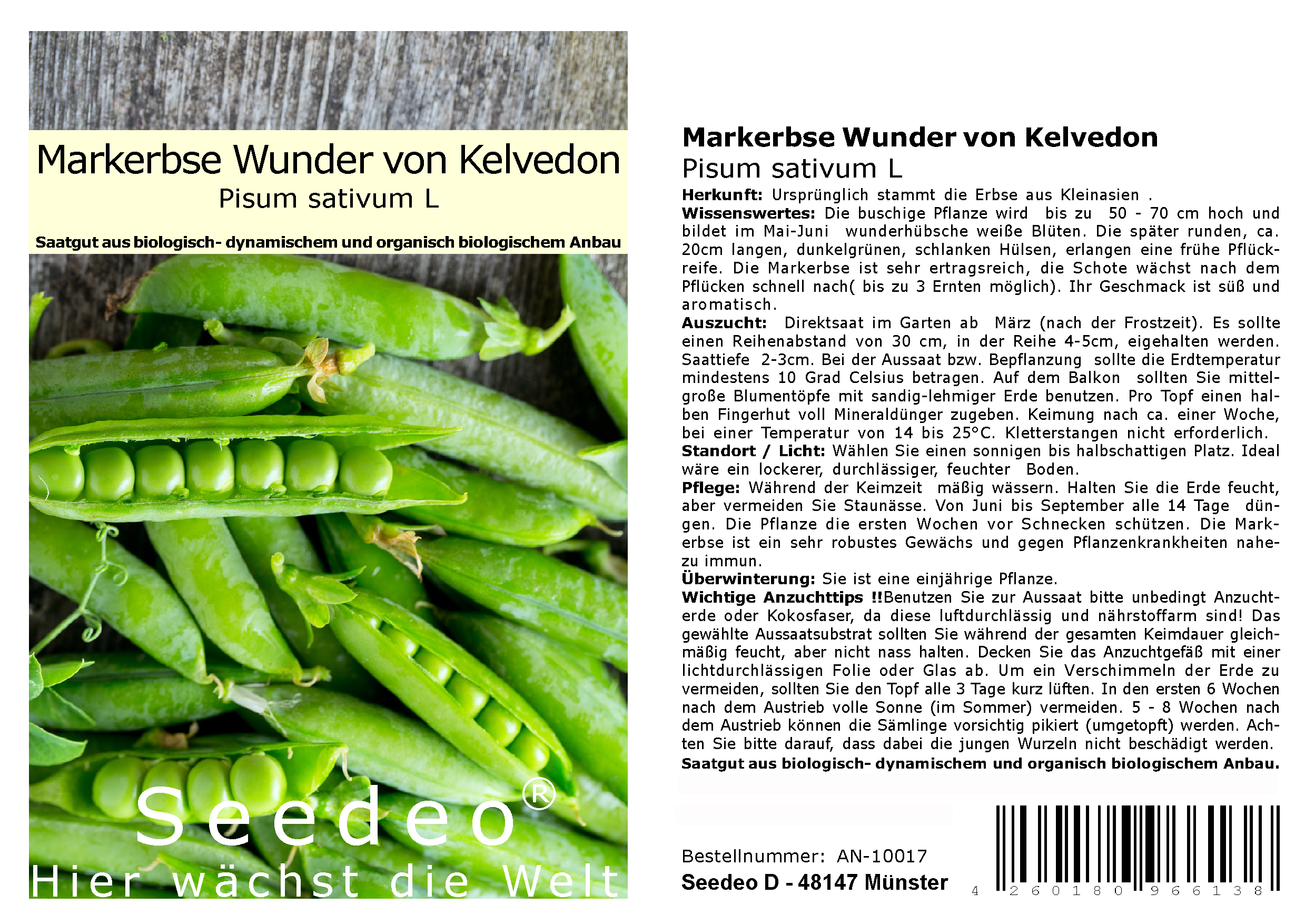 Seedeo® Markerbse Wunder von Kelvedon (Pisum sativum L) ca. 100 Samen BIO