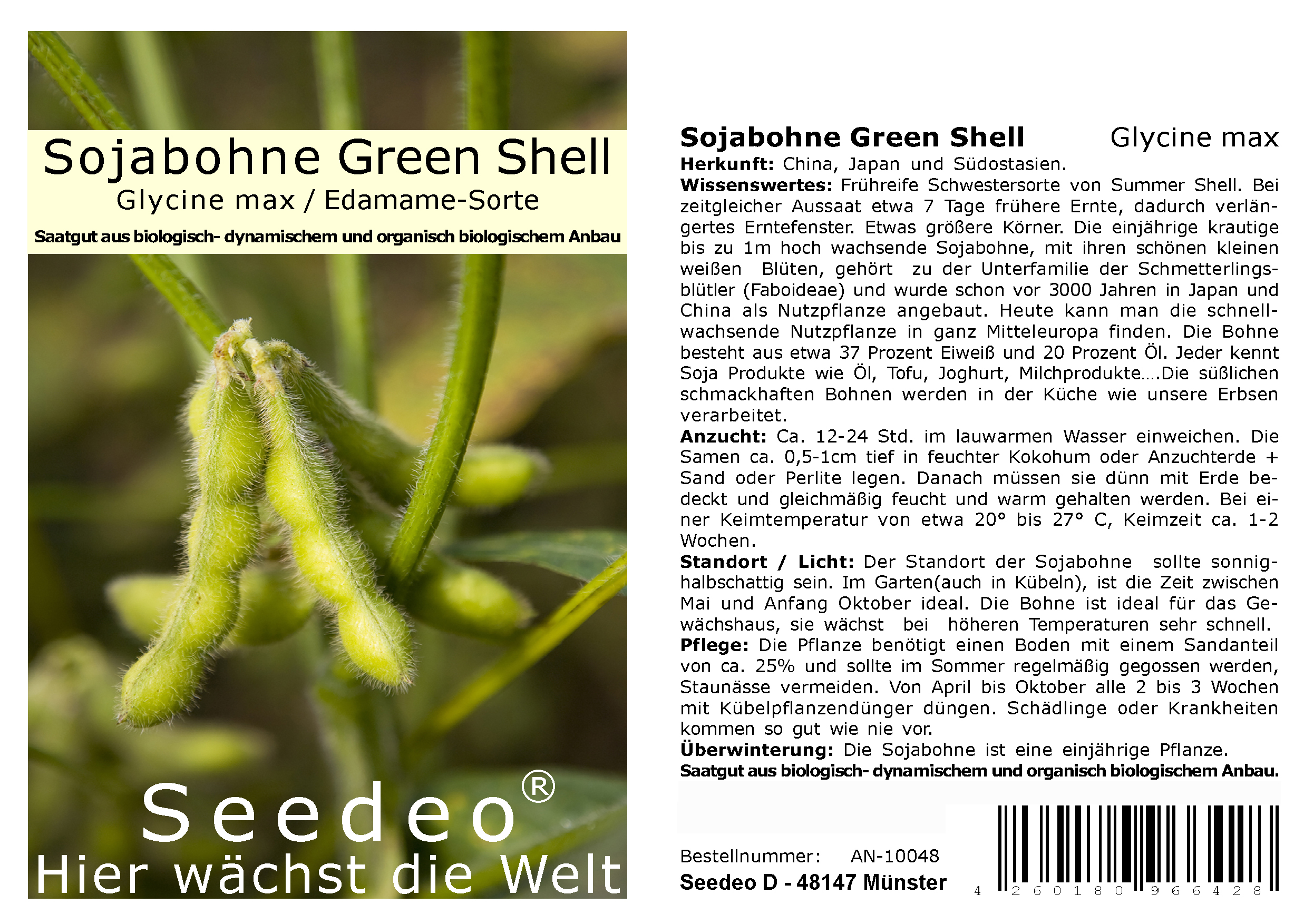 Seedeo® Sojabohne Green Shell ( Glycine max ) Edamame-Sorte  30 Samen BIO