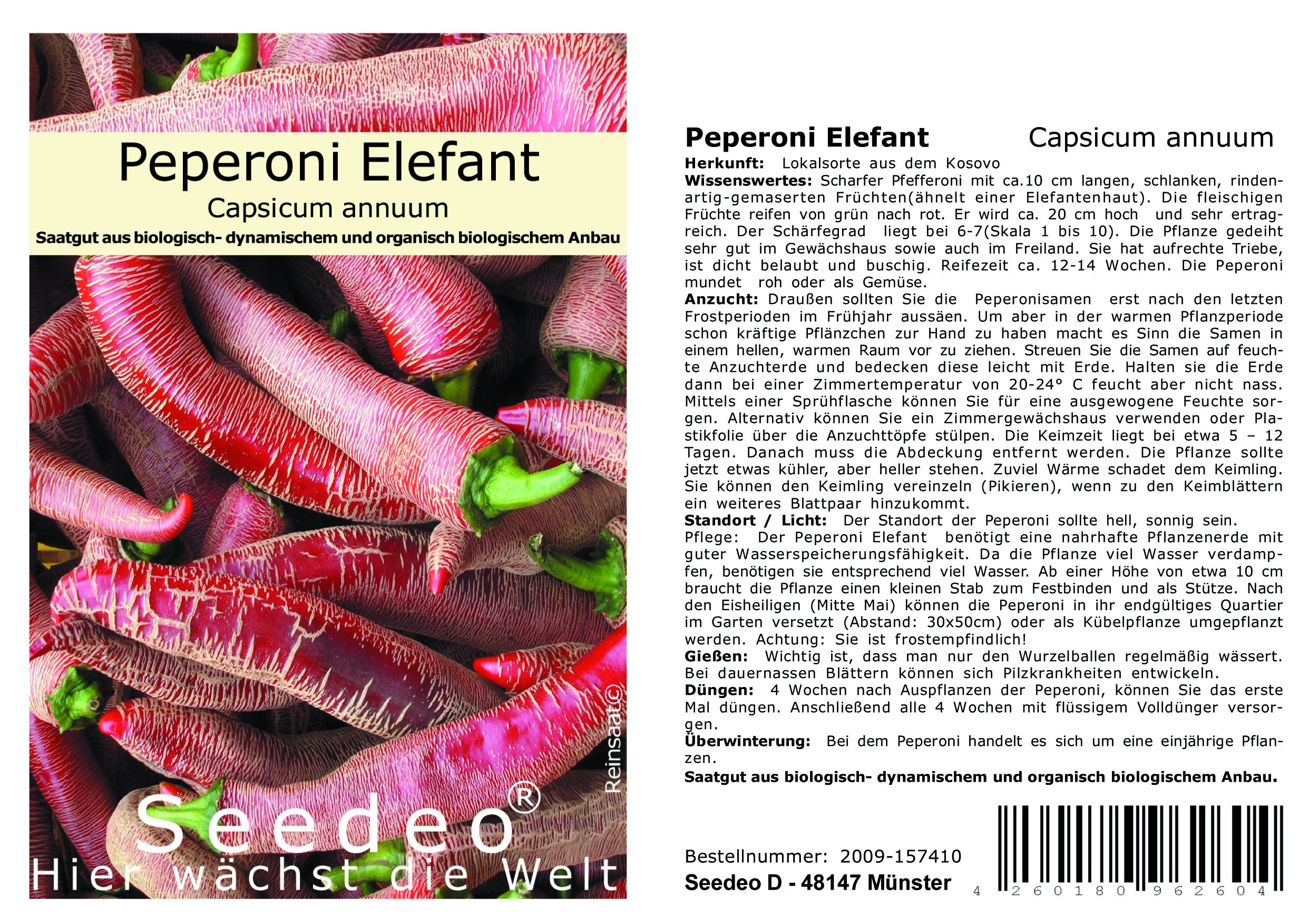 Seedeo® Peperoni Elefant (Capsicum annuum) 25 Samen BIO
